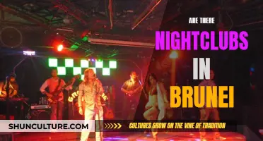 Nightlife in Brunei: Are There Any Clubs?