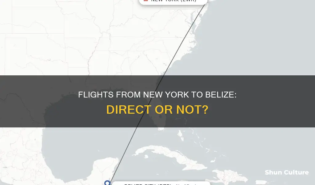 are there non stop flights from new york to belize