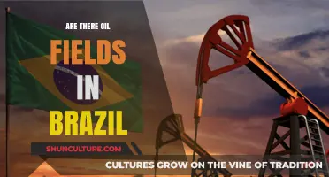 Exploring Brazil's Oil Fields: Uncovering the Nation's Energy Reserves
