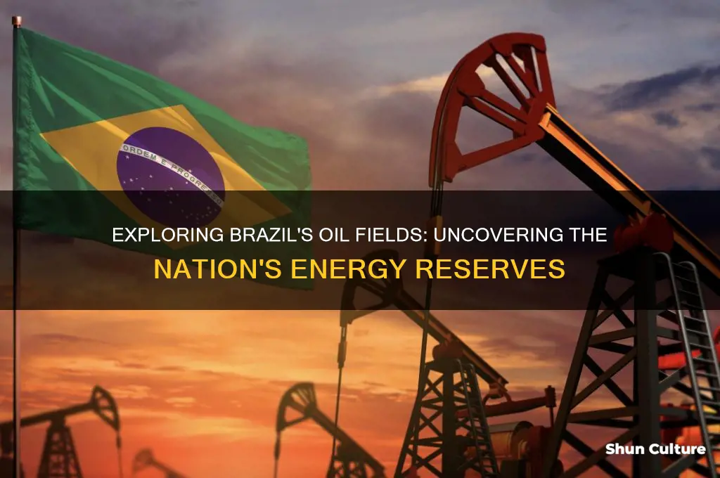 are there oil fields in brazil