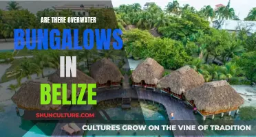 Overwater Bungalows in Belize: The Ultimate Tropical Escape