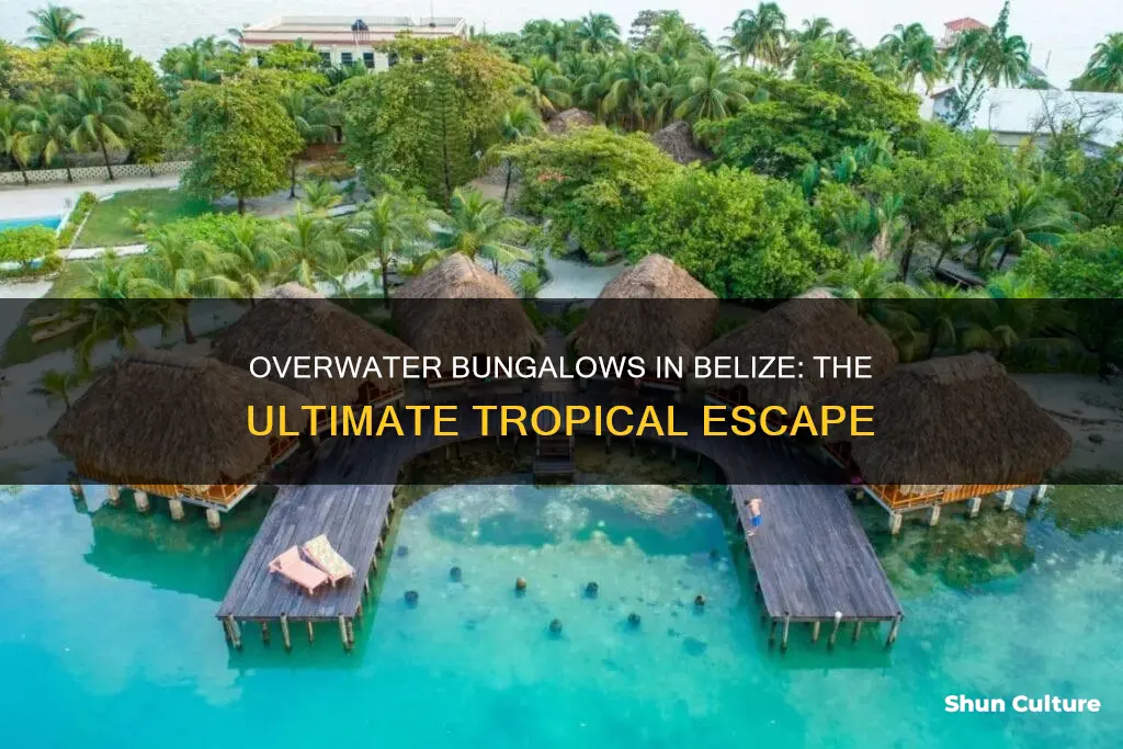 are there overwater bungalows in belize