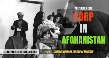 Peace Corps in Afghanistan: A Complex and Evolving Story