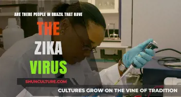 Zika Virus in Brazil: Current Cases and Community Impact Explained