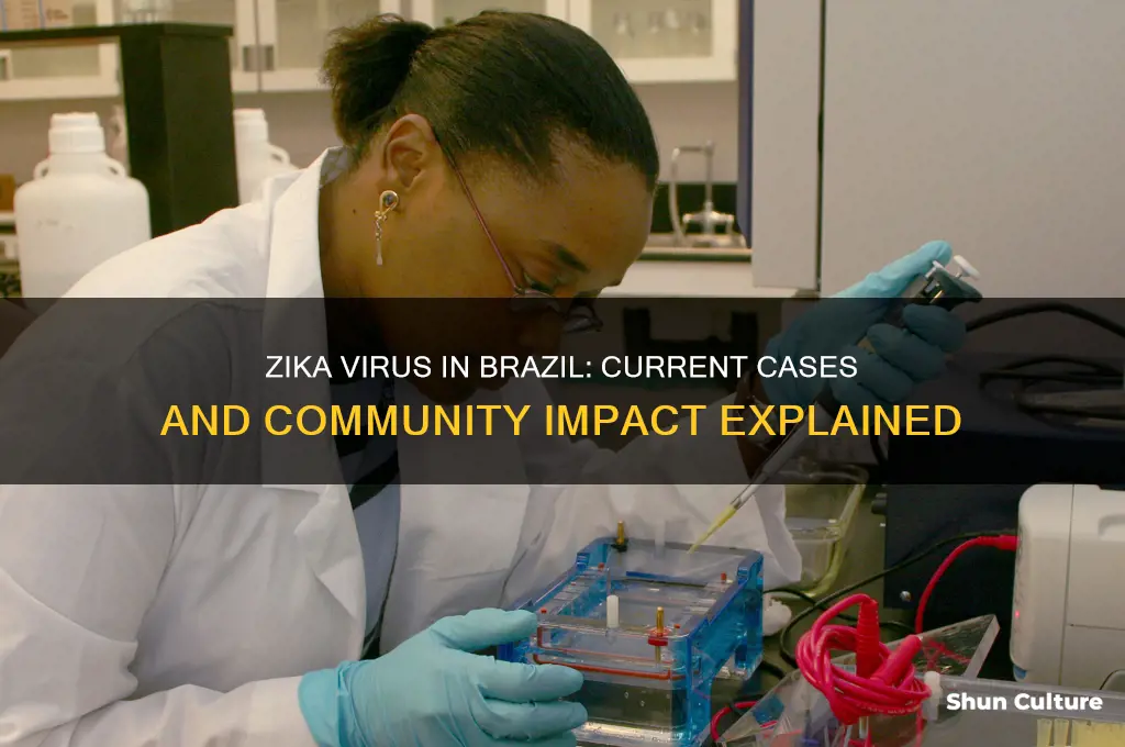 are there people in brazil that have the zika virus