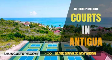 Discovering Antigua's Pickleball Scene: Are There Courts on the Island?