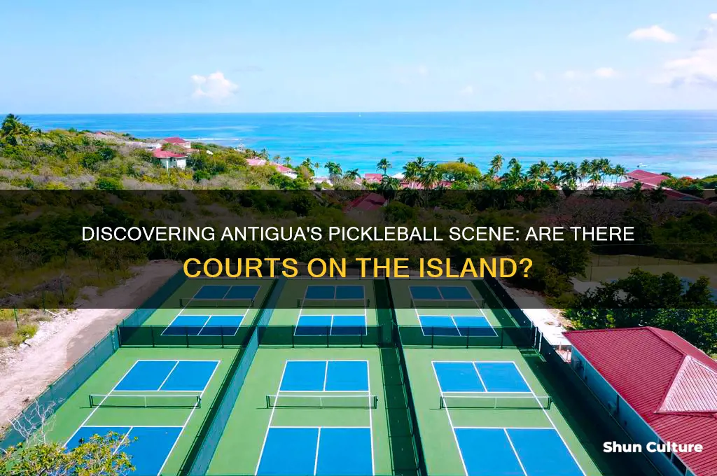 are there pickle ball courts in antigua