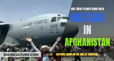 The Mystery of Afghanistan's Missing Planes: A Hostage Situation?