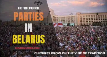 Belarus' Political Parties: Existence and Influence