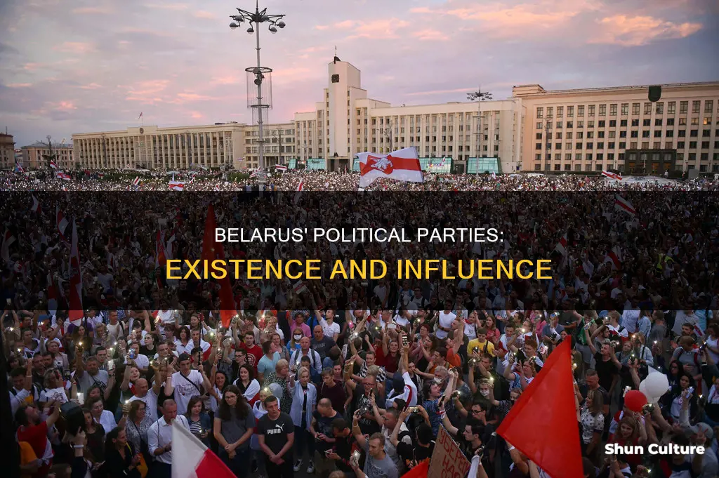 are there political parties in belarus