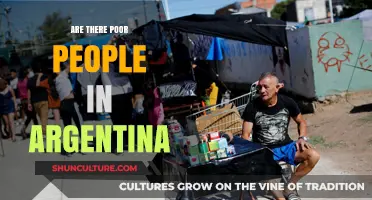 Exploring Economic Disparities: The Reality of Poverty in Argentina