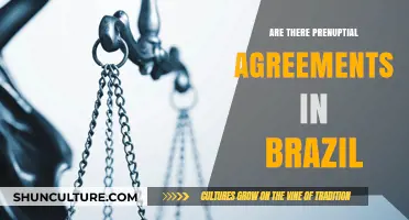 Prenuptial Agreements in Brazil: Legal Framework and Cultural Considerations
