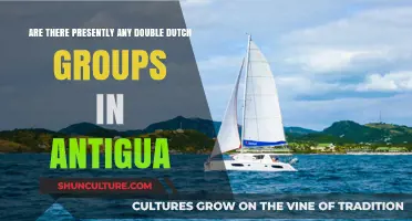 Double Dutch in Antigua: Current Groups and Their Impact Today