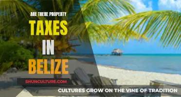 Belize Property Taxes: What You Need to Know