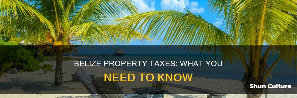 are there property taxes in belize