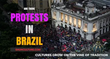 Brazil's Streets in Uproar: Protests Erupt Over Key National Issues