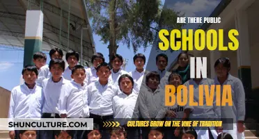 Public Education in Bolivia: Availability and Access