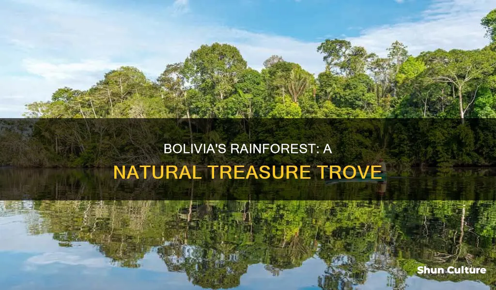 are there rainforests in bolivia