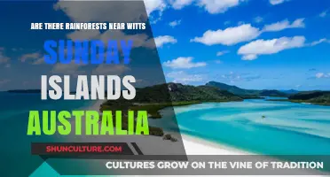 Exploring Australia: Rainforests Near the Whitsunday Islands
