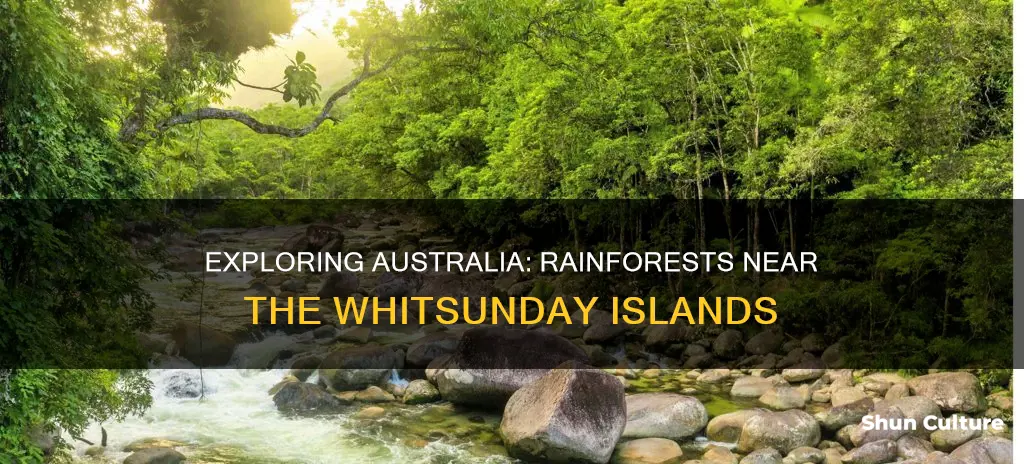 are there rainforests near witts sunday islands australia