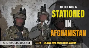 Rangers on the Frontline: The Presence of Elite Forces in Afghanistan's Complex Battlefield