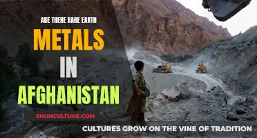 The Untapped Wealth Beneath Afghanistan's Soil: Rare Earth Metals and Geopolitical Interests