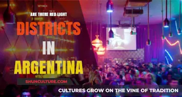 Exploring the Nightlife: A Look at Argentina's Red Light Districts