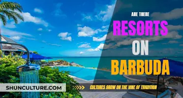 Barbuda's Resorts: A Tropical Paradise for Vacationers