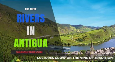 Exploring Antigua's Waterways: Uncovering the Truth About Rivers in Antigua