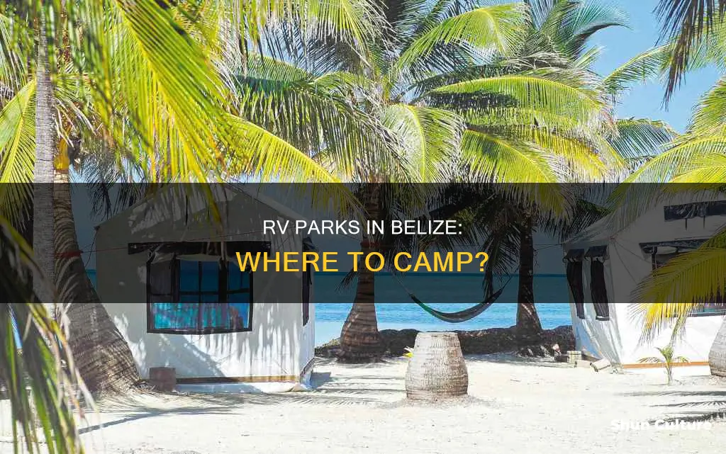 are there rv parks in belize