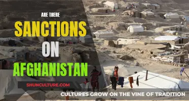 Sanctions on Afghanistan: Exploring the Impact and Implications