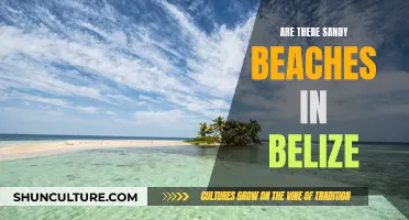 Belize's Sandy Beaches: A Tropical Paradise