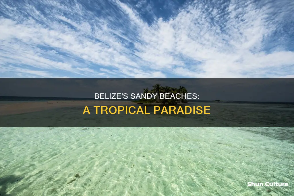 are there sandy beaches in belize