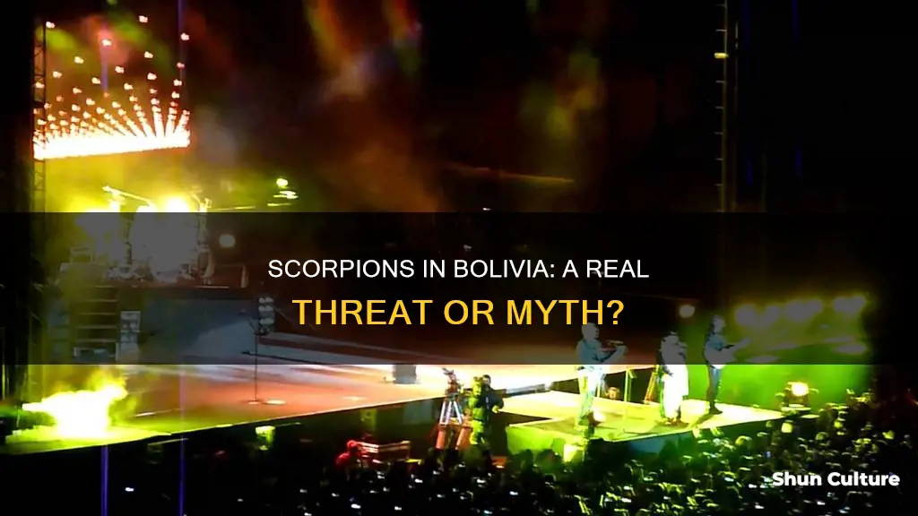 are there scorpions in bolivia