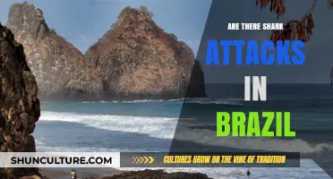 Shark Attacks in Brazil: Uncovering the Truth and Staying Safe