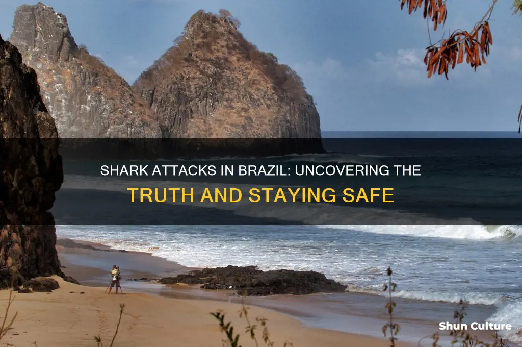are there shark attacks in brazil