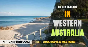 Shark Nets in Western Australia: Are They Effective?