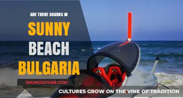 Sunny Beach, Bulgaria: A Shark-Free Paradise or Hidden Danger?