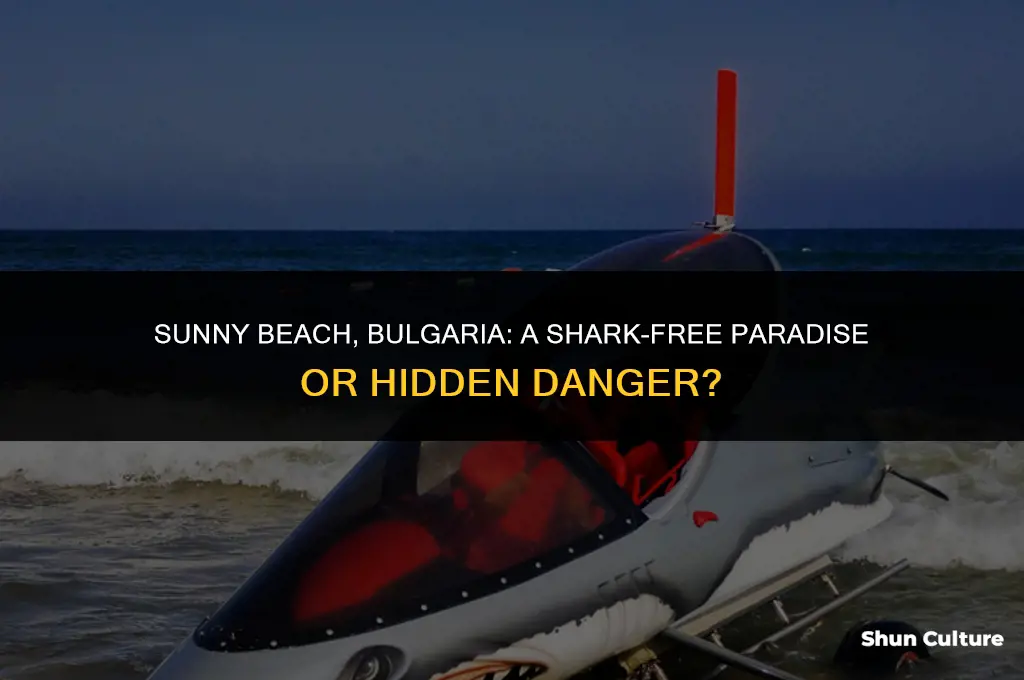 are there sharks in sunny beach bulgaria