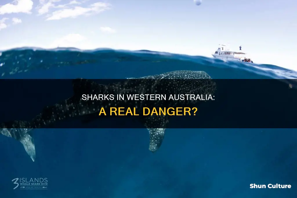 are there sharks in western australia