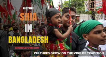 Exploring Shia Presence and Influence in Bangladesh's Diverse Muslim Community