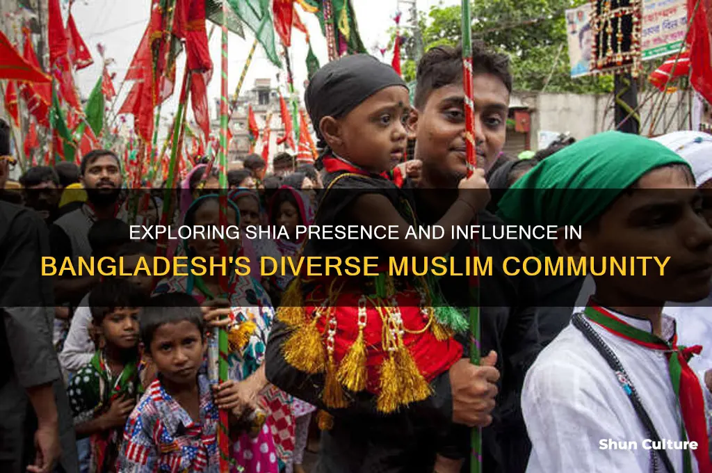 are there shia in bangladesh