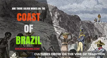 Exploring Brazil's Coastal Silver Mines: Fact or Fiction?