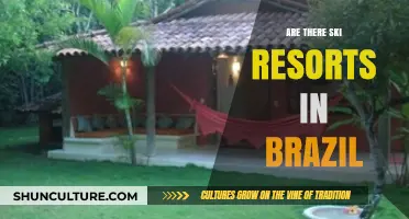 Exploring Brazil's Unexpected Ski Resorts: A Tropical Winter Wonderland