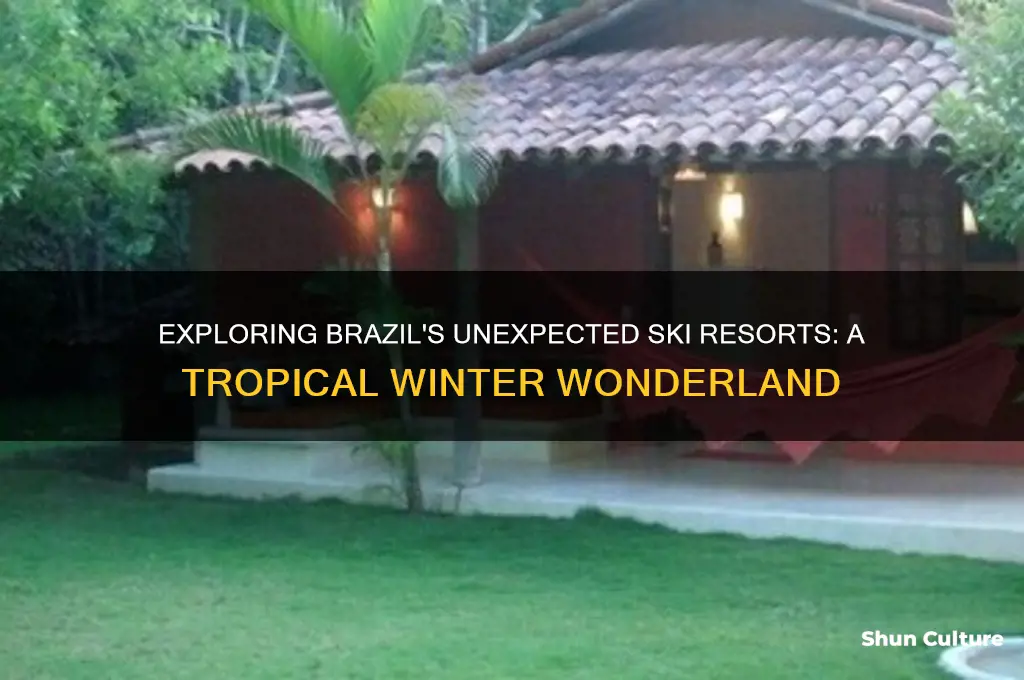 are there ski resorts in brazil