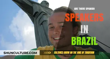 Spanish Speakers in Brazil: Exploring Language Diversity in South America
