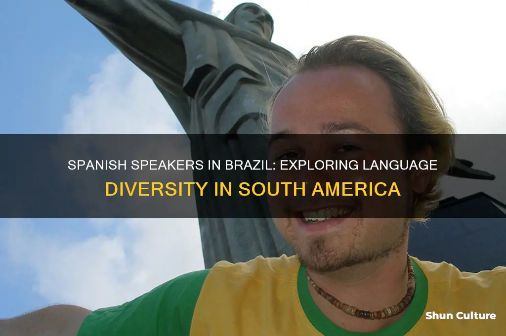 are there spanish speakers in brazil