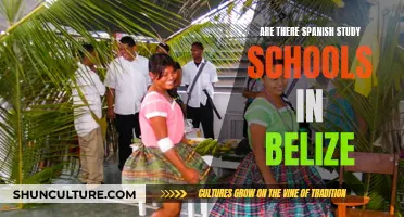 Studying Spanish in Belize: School Options?