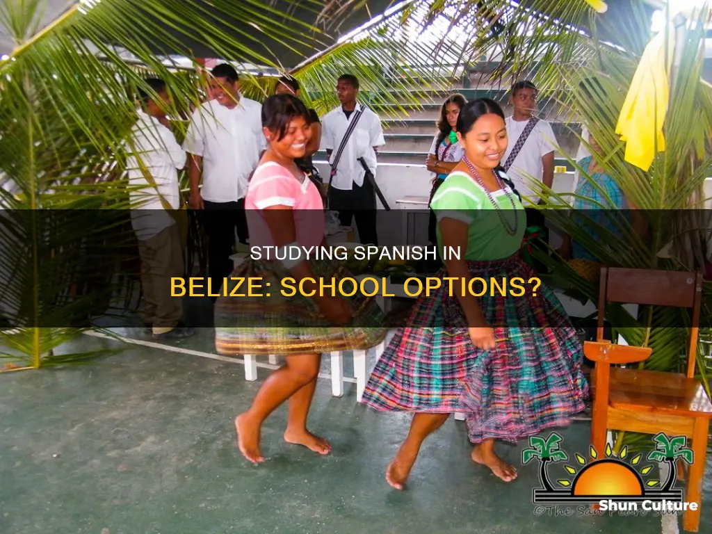 are there spanish study schools in belize