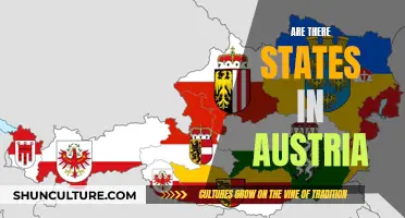 Exploring Austria's Federalism: States or Regions?